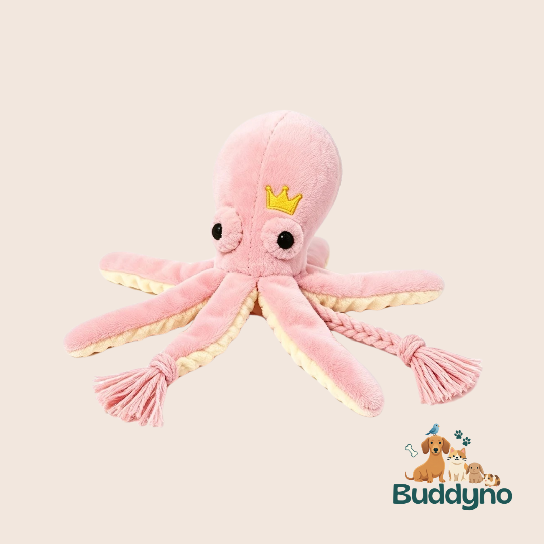 WOOFOCTOPUS | Zachte octopus met pieper voor honden