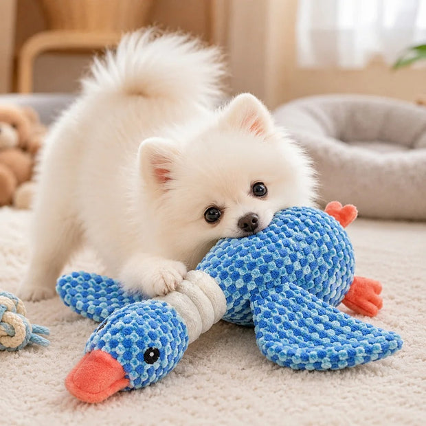 puppy met een zachte knuffel