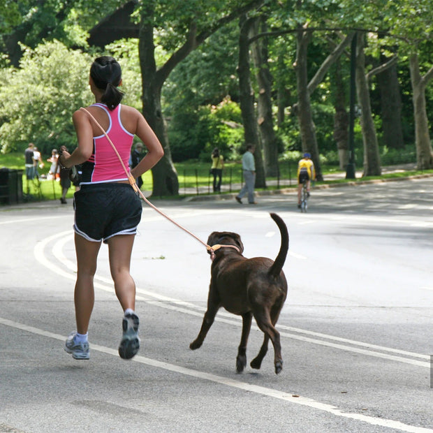 hardlopen met hond