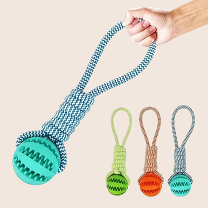 BALLPULL | Hondenbal en trekspeeltje in één
