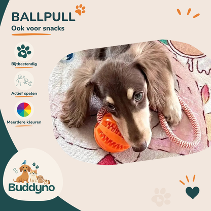 BALLPULL | Hondenbal en trekspeeltje in één