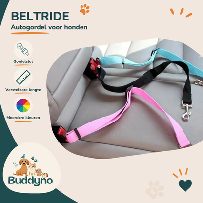 BELTRIDE | Veilige autogordel voor honden