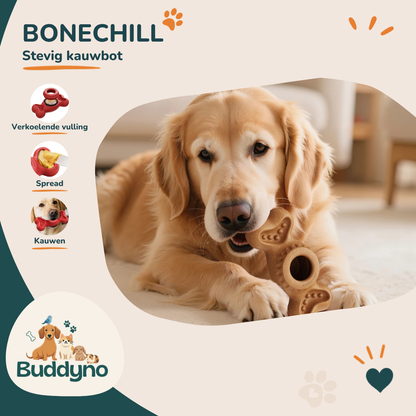 BONECHILL | Stevig kauwbot met verkoelende vulling