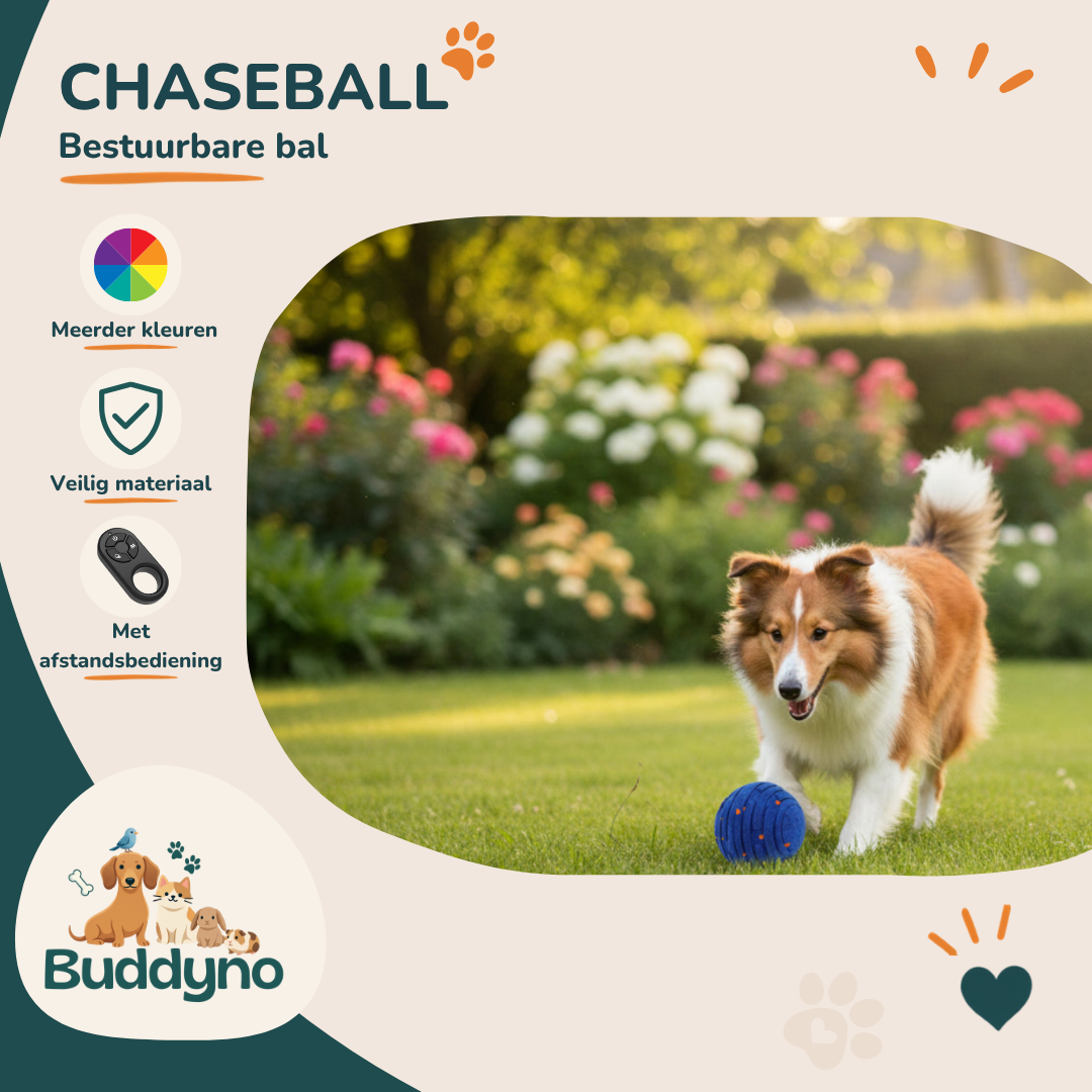CHASEBALL | Interactieve Hondenbal