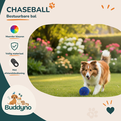 CHASEBALL | Interactieve Hondenbal