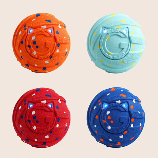 CHASEBALL | Interactieve Hondenbal