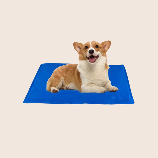 CHILBOUND | Zelfkoelende gelmat voor honden