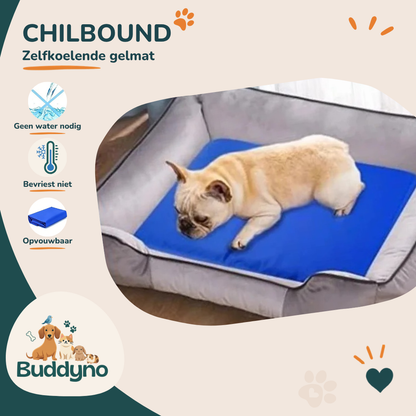CHILBOUND | Zelfkoelende gelmat voor honden