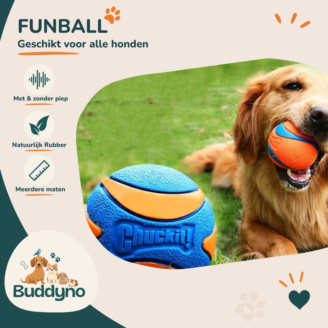 FUNBALL | Stevig kauwspeelgoed voor actieve honden