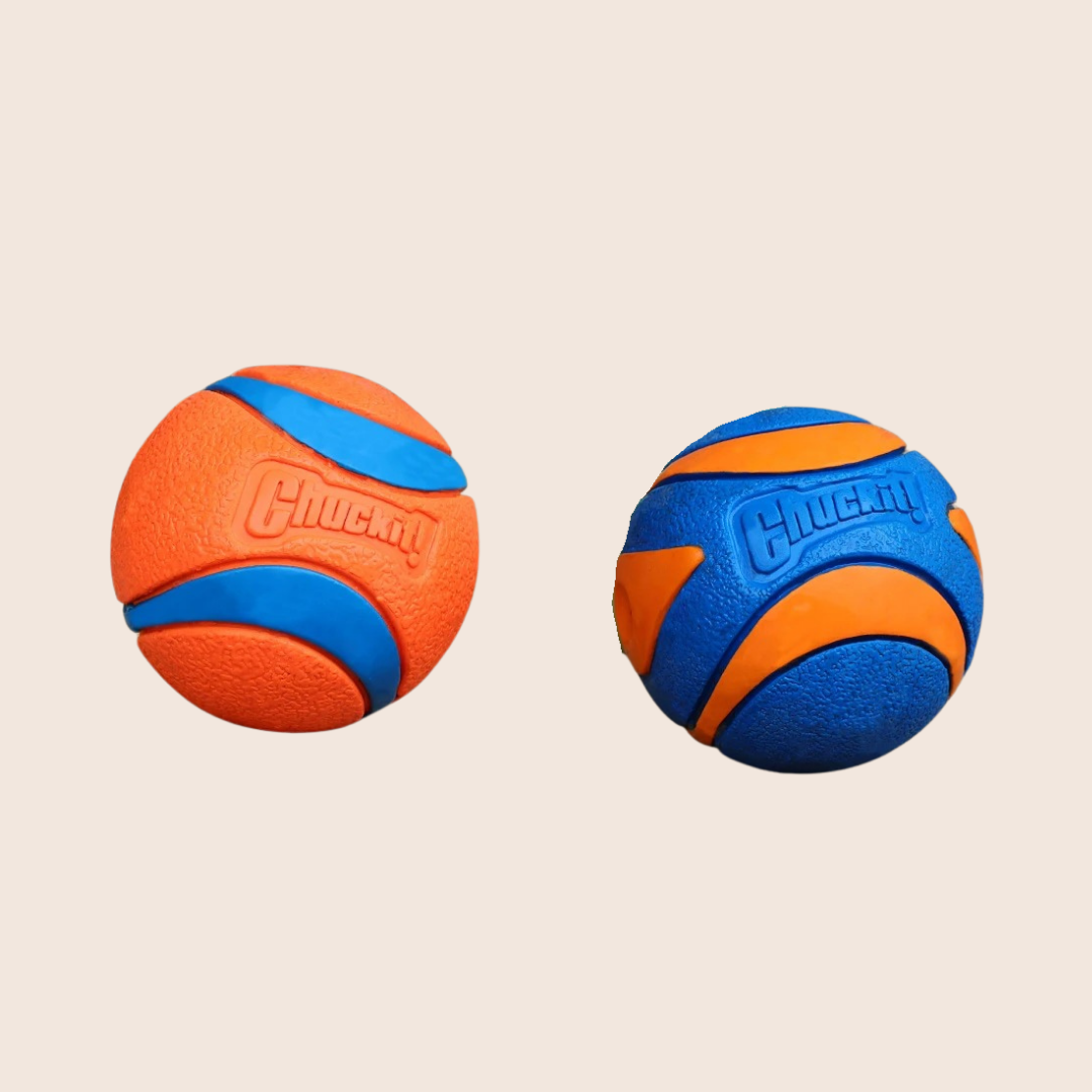 FUNBALL | Stevig kauwspeelgoed voor actieve honden