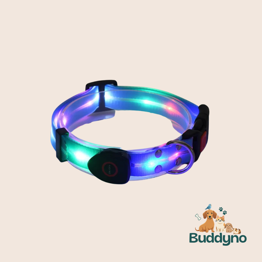 GLOWBAND | Lichtgevende halsband voor nachtelijke wandelingen