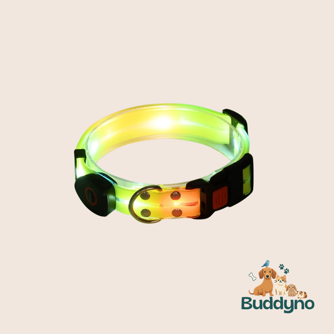 GLOWBAND | Lichtgevende halsband voor nachtelijke wandelingen