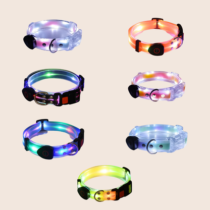 GLOWBAND | Lichtgevende halsband voor nachtelijke wandelingen