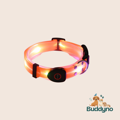 GLOWBAND | Lichtgevende halsband voor nachtelijke wandelingen