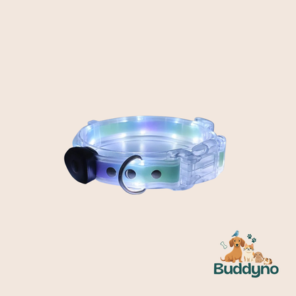 GLOWBAND | Lichtgevende halsband voor nachtelijke wandelingen