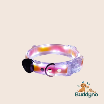 GLOWBAND | Lichtgevende halsband voor nachtelijke wandelingen