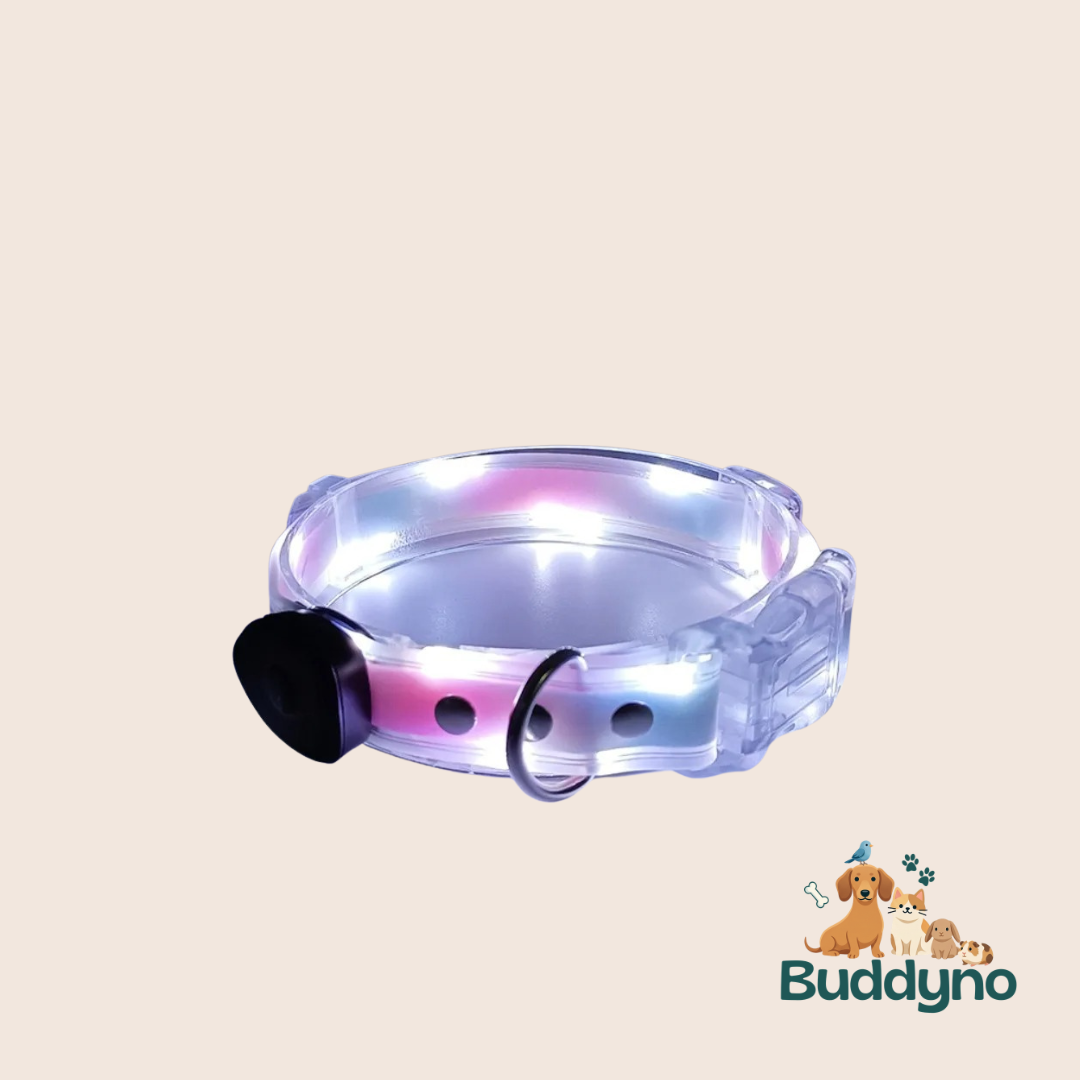 GLOWBAND | Lichtgevende halsband voor nachtelijke wandelingen