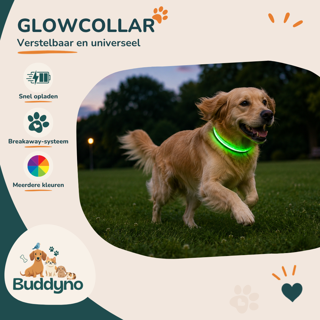 GLOWCOLLAR | Lichtgevende LED halsband