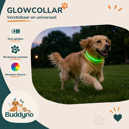 GLOWCOLLAR | Lichtgevende LED halsband