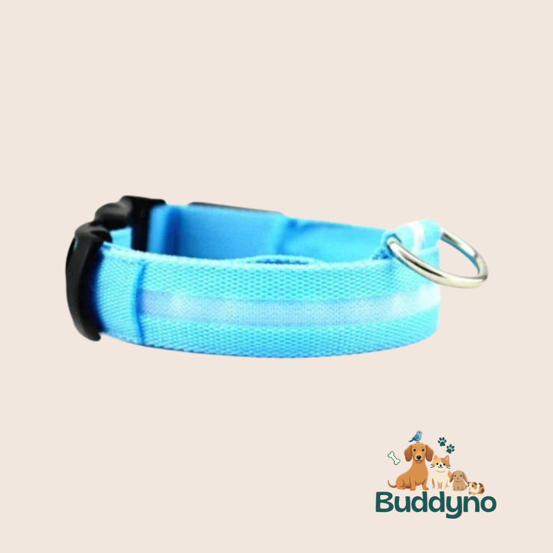 GLOWTRAIL | LED Halsband voor alle hondengroottes