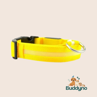 GLOWTRAIL | LED Halsband voor alle hondengroottes