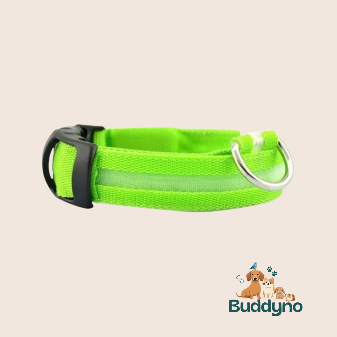 GLOWTRAIL | LED Halsband voor alle hondengroottes