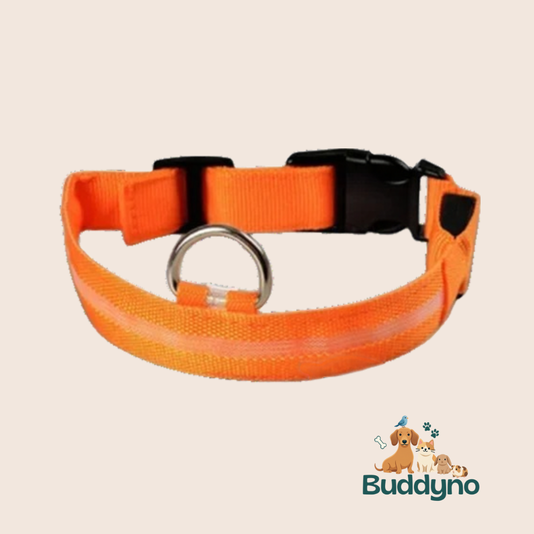 GLOWTRAIL | LED Halsband voor alle hondengroottes