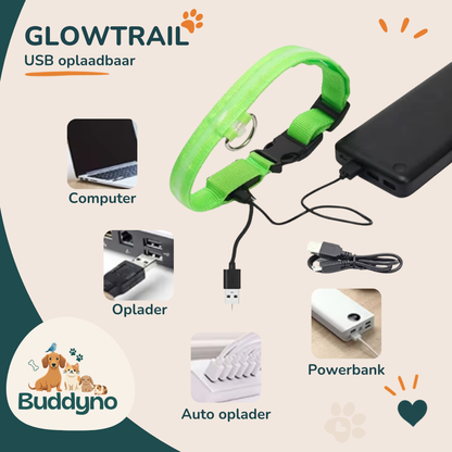 GLOWTRAIL | LED Halsband voor alle hondengroottes