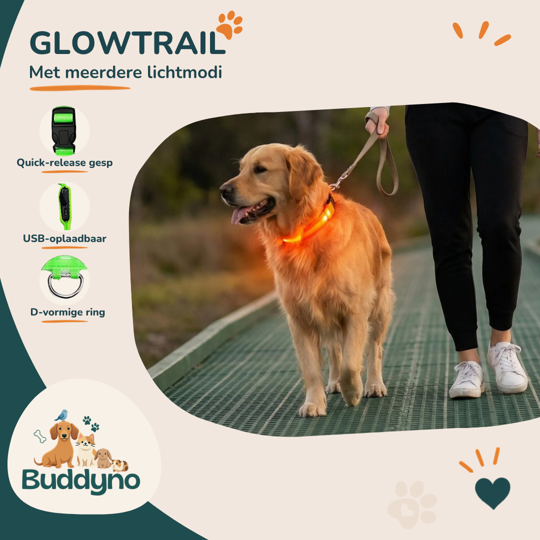 GLOWTRAIL | LED Halsband voor alle hondengroottes