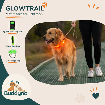 GLOWTRAIL | LED Halsband voor alle hondengroottes