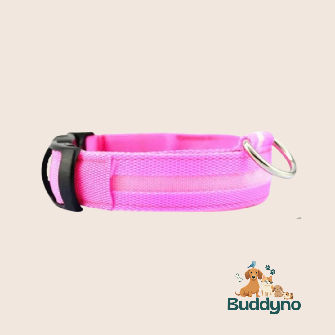 GLOWTRAIL | LED Halsband voor alle hondengroottes