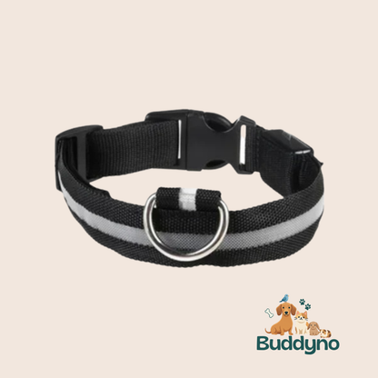 GLOWTRAIL | LED Halsband voor alle hondengroottes