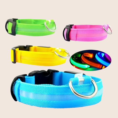 GLOWTRAIL | LED Halsband voor alle hondengroottes