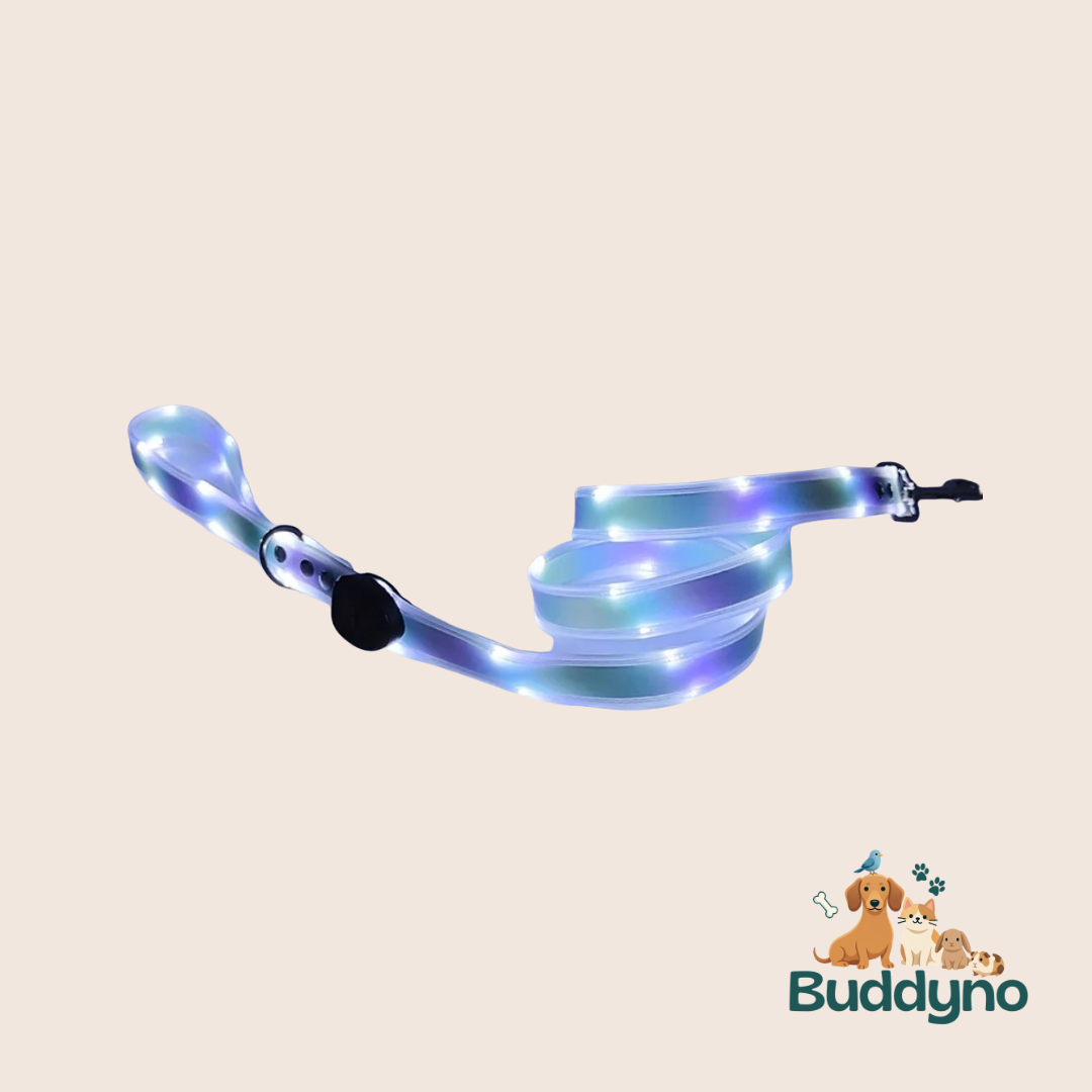 GLOWWALK | Lichtgevende riem voor nachtelijke wandelingen