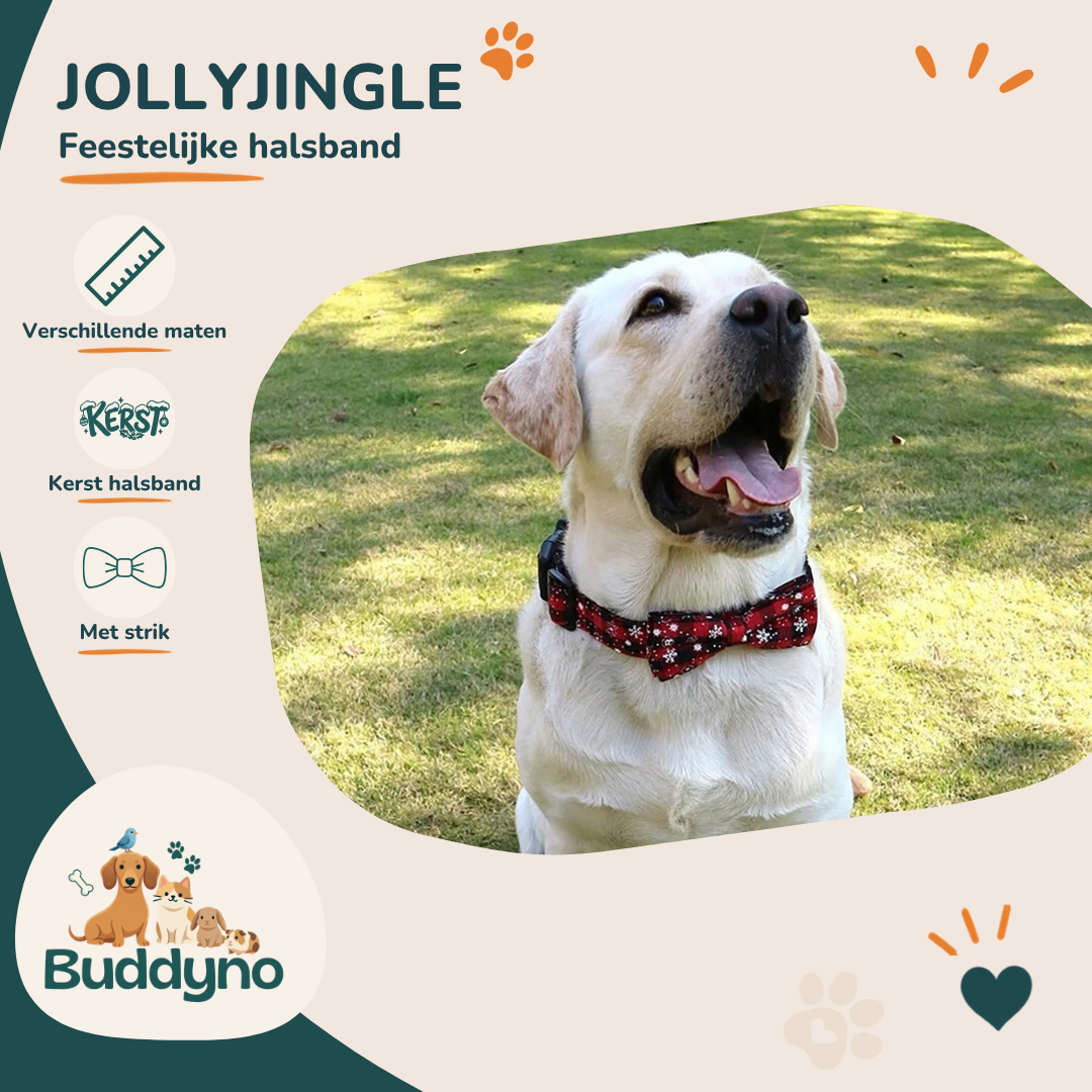 JOLLYJINGLE | Feestelijke halsband met strik voor honden