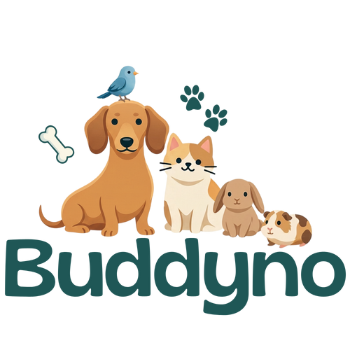 Buddyno