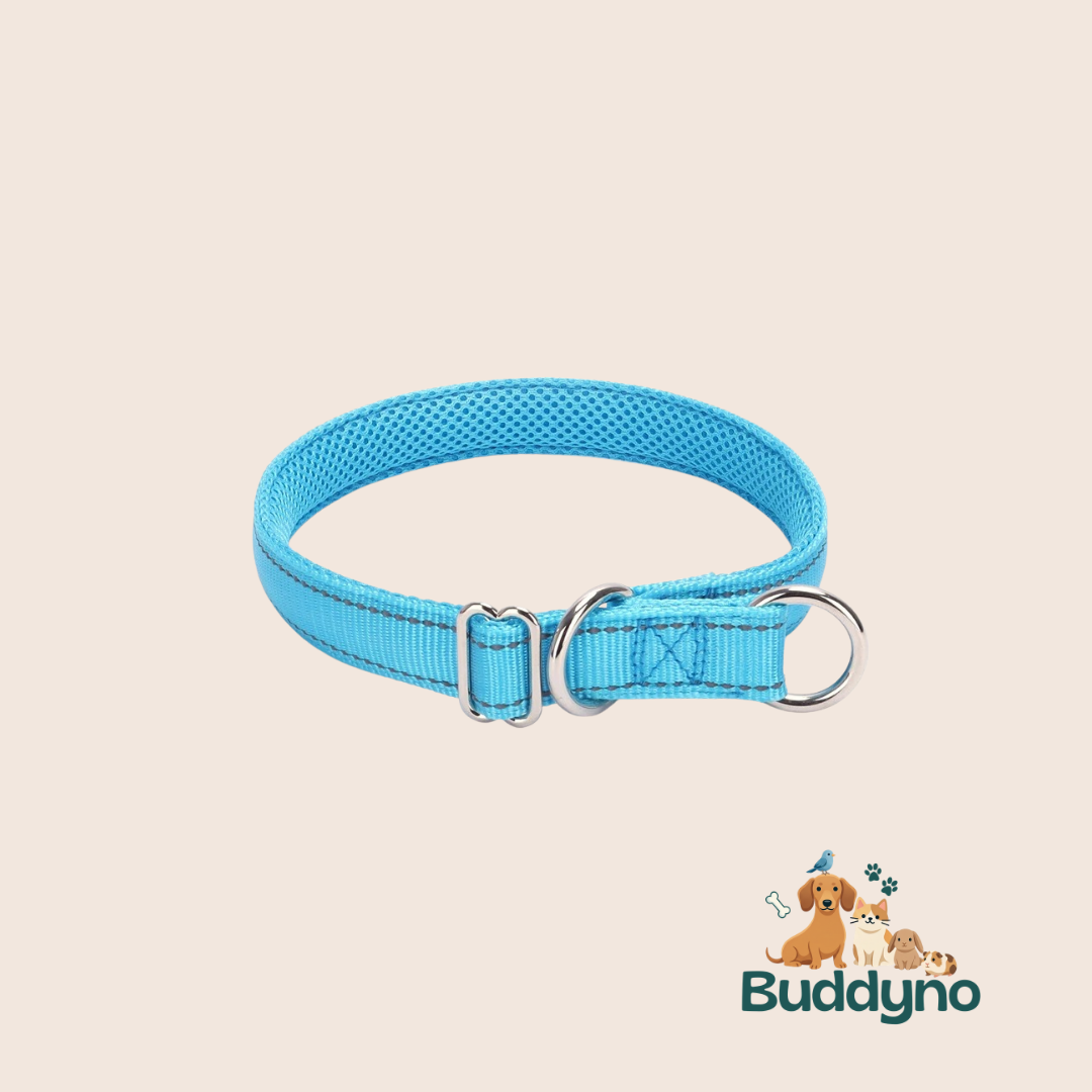 PAWSAFE | Reflecterende nylon halsband