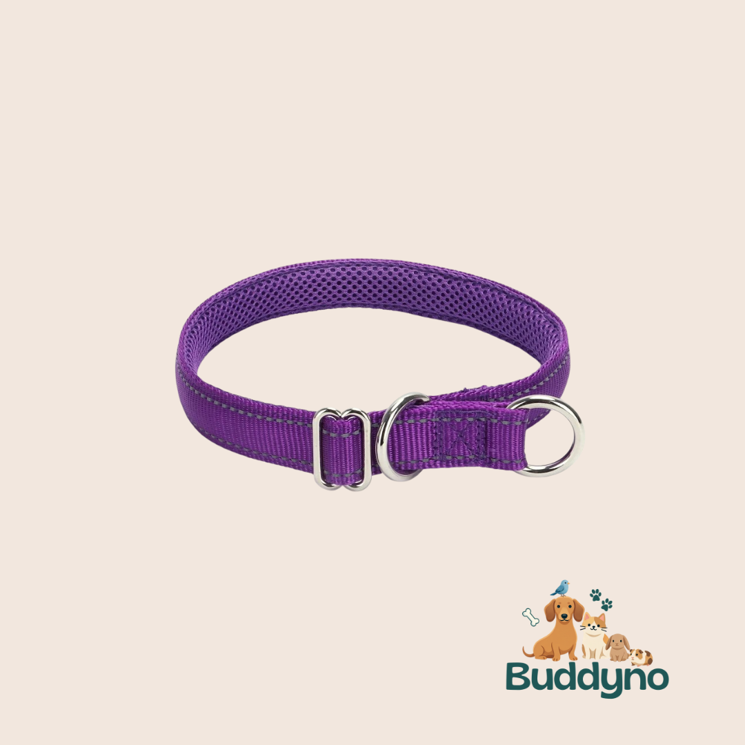 PAWSAFE | Reflecterende nylon halsband