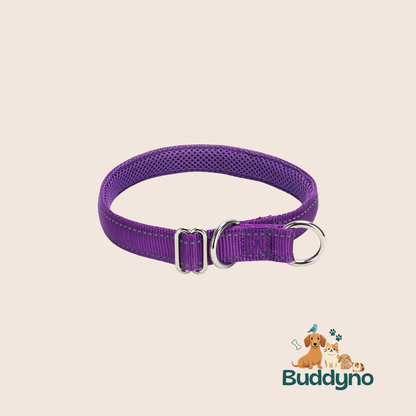PAWSAFE | Reflecterende nylon halsband