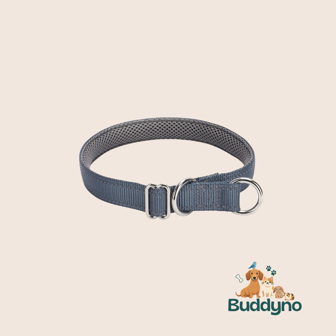 PAWSAFE | Reflecterende nylon halsband