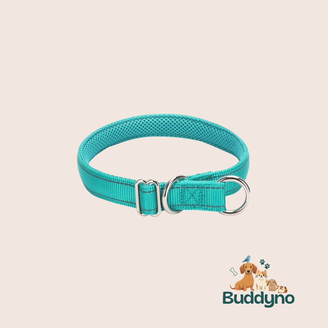 PAWSAFE | Reflecterende nylon halsband