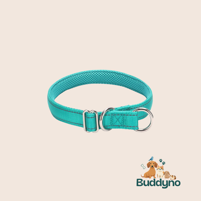 PAWSAFE | Reflecterende nylon halsband