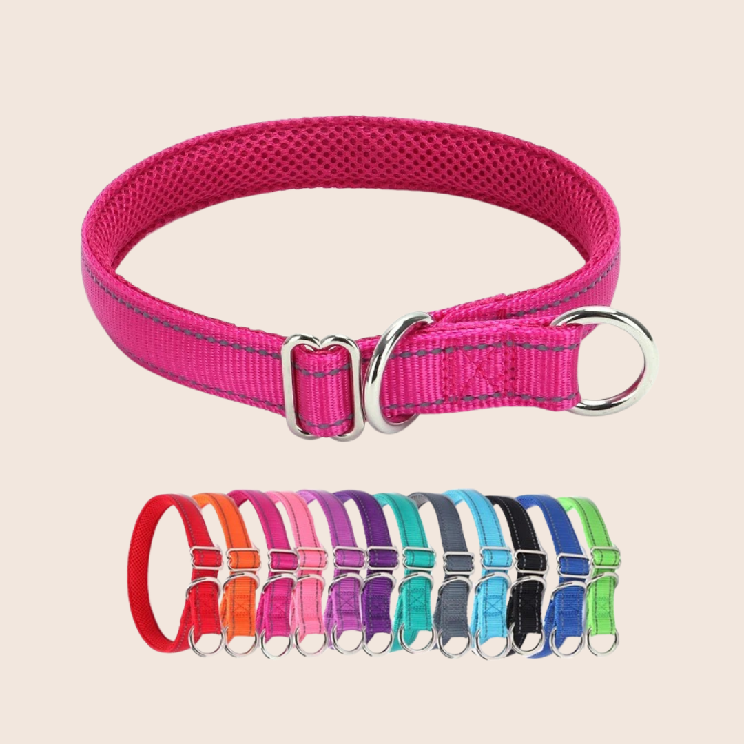 PAWSAFE | Reflecterende nylon halsband