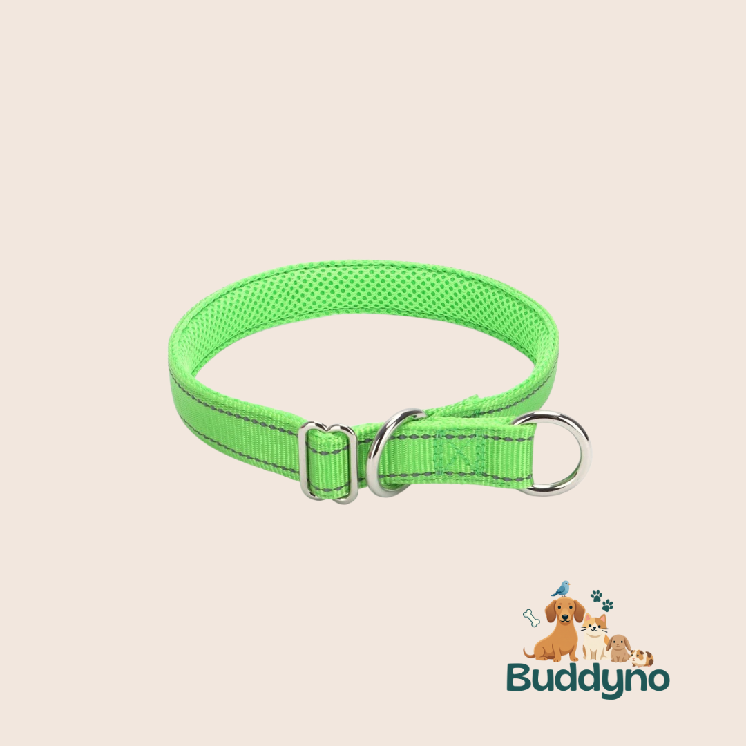 PAWSAFE | Reflecterende nylon halsband
