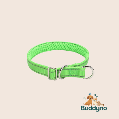 PAWSAFE | Reflecterende nylon halsband