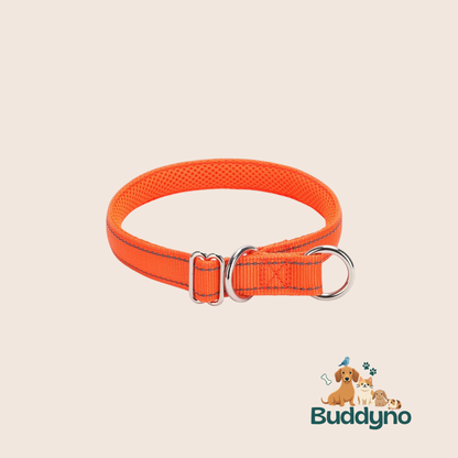 PAWSAFE | Reflecterende nylon halsband