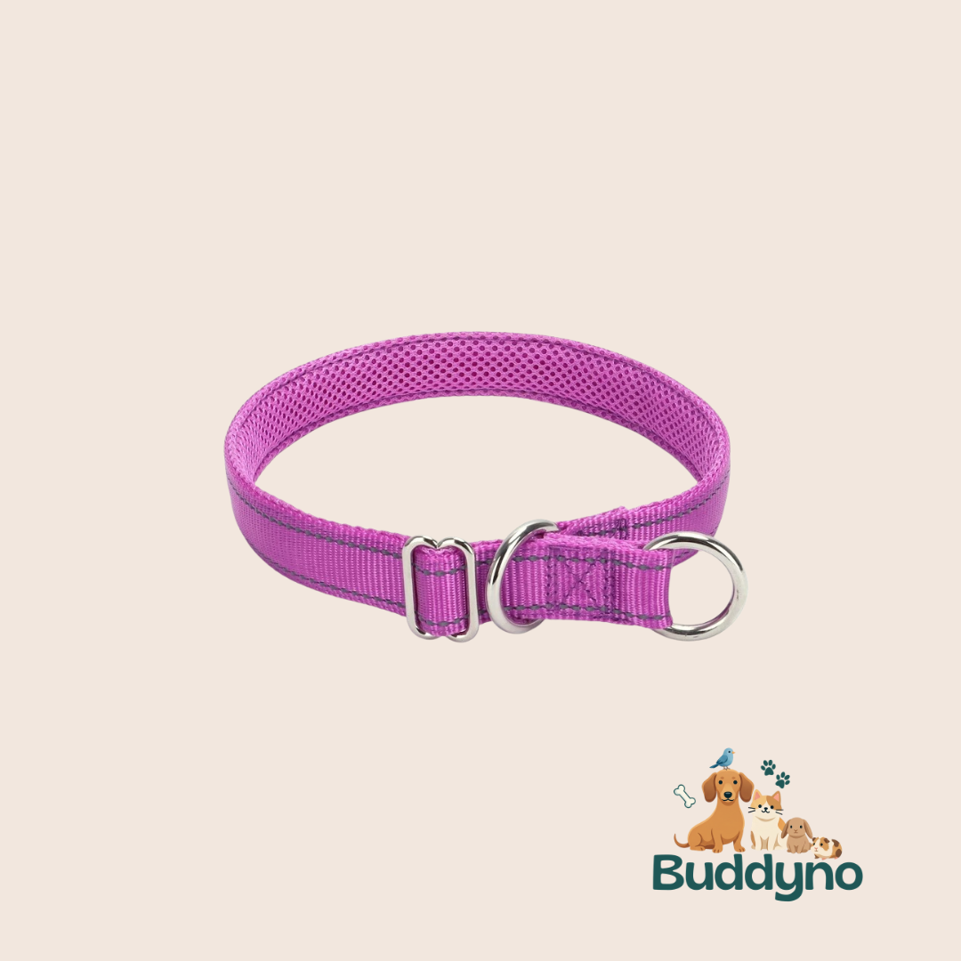 PAWSAFE | Reflecterende nylon halsband