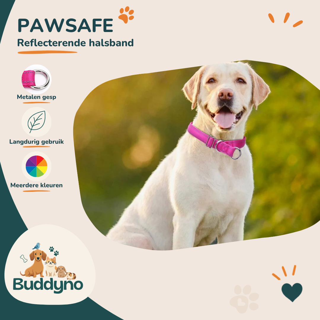 PAWSAFE | Reflecterende nylon halsband