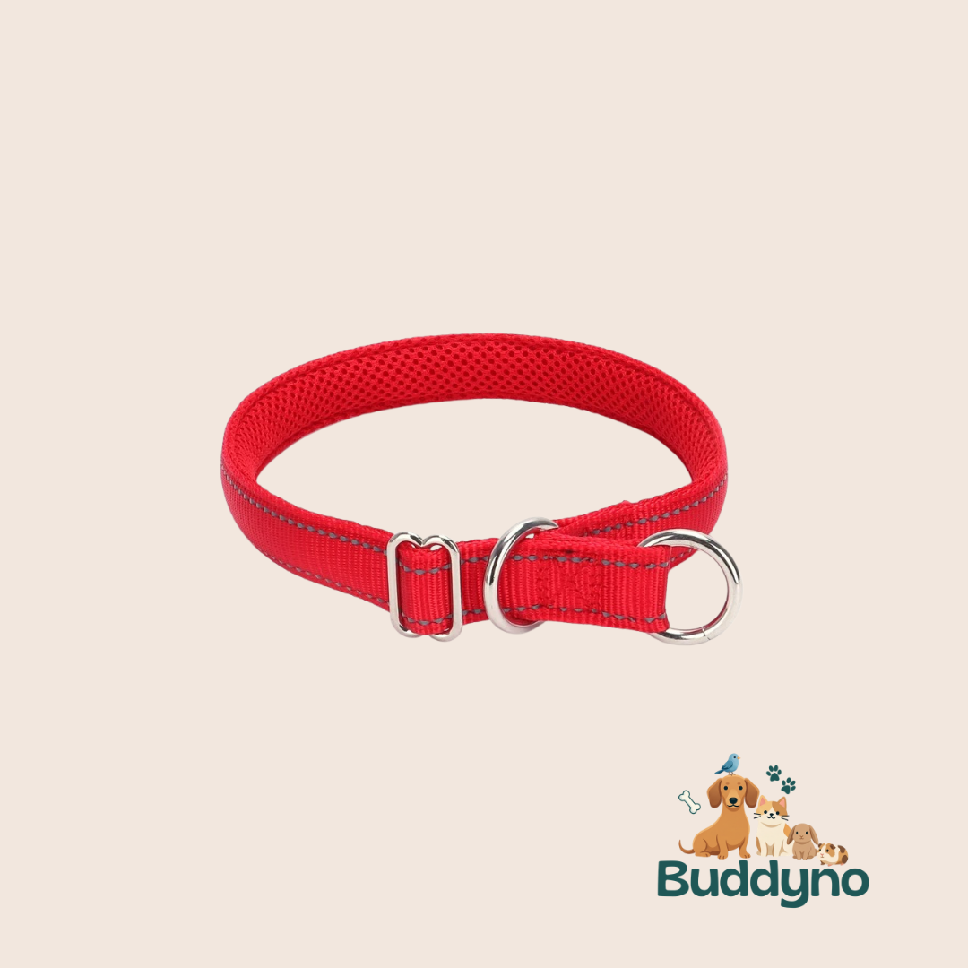 PAWSAFE | Reflecterende nylon halsband