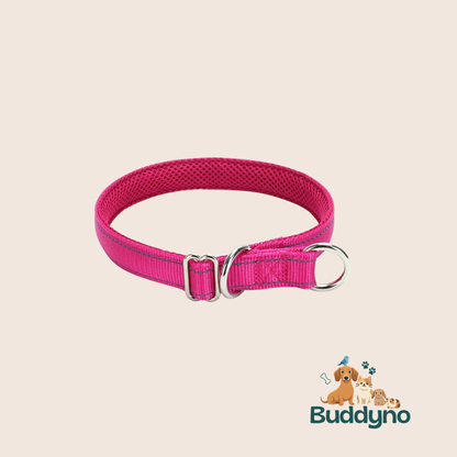 PAWSAFE | Reflecterende nylon halsband